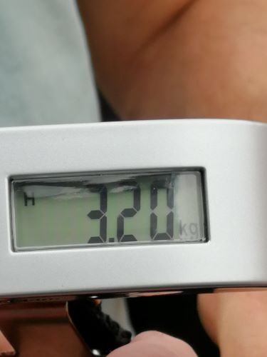 IMG 20240604 1714101