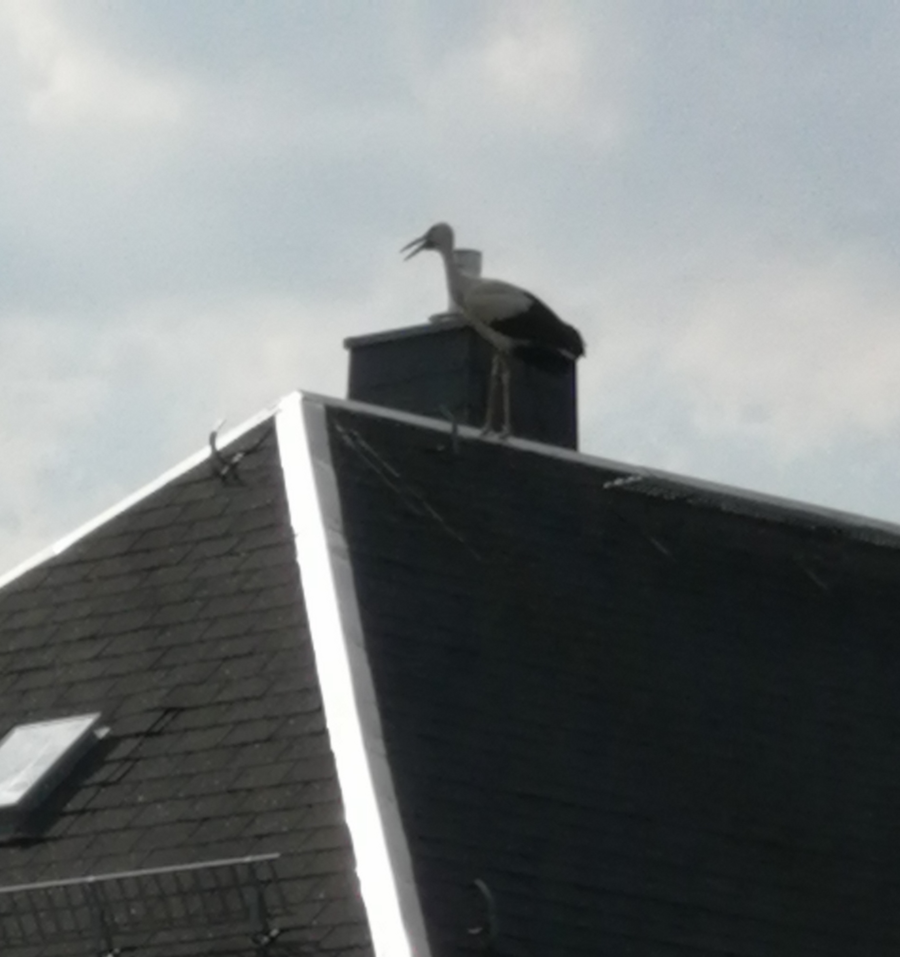 IMG 20230711 173721 3