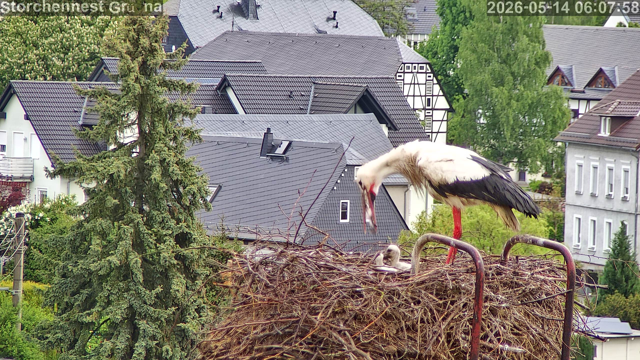 a26051406075800
